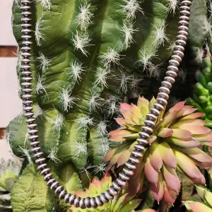" Salito "